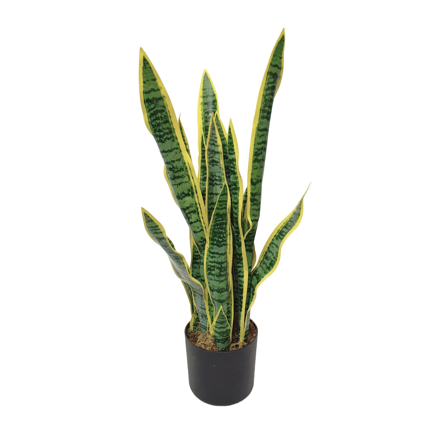 Artificial Dracaena Trifasciata Snake Plant 65cm