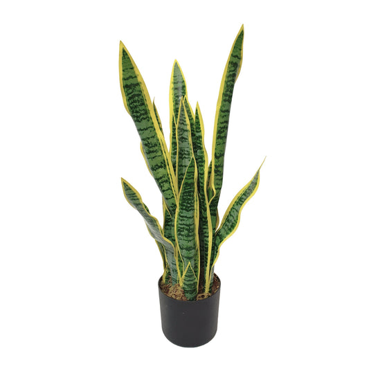 Artificial Dracaena Trifasciata Snake Plant 65cm