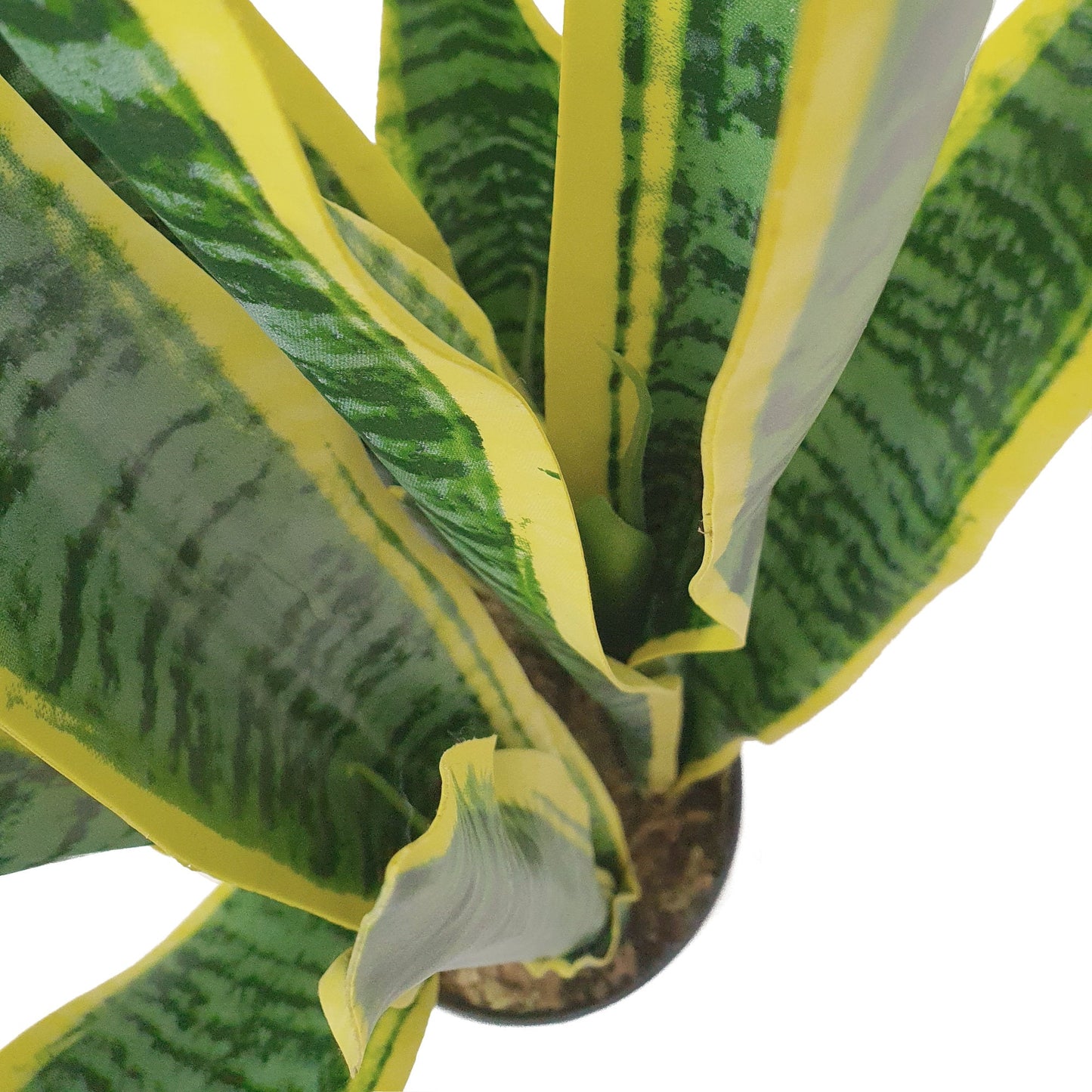 Artificial Dracaena Trifasciata Snake Plant 65cm
