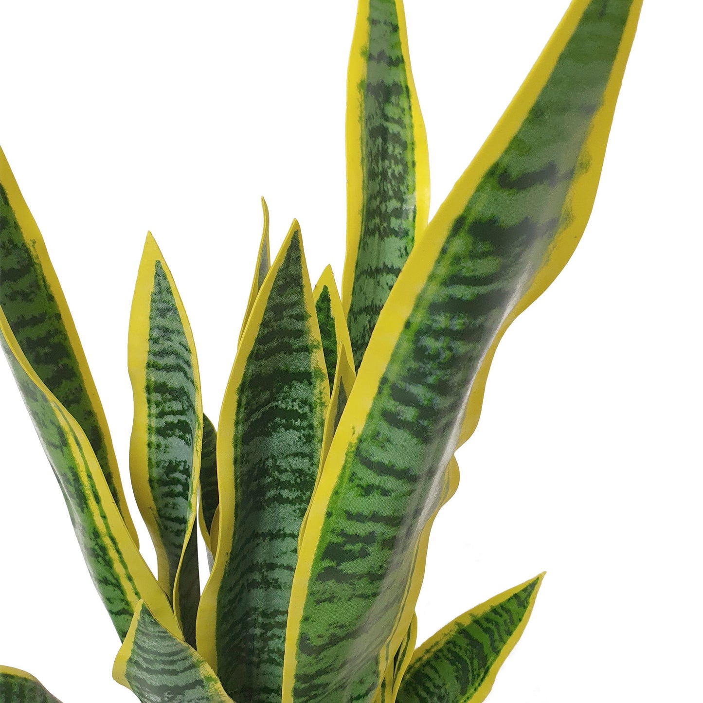 Artificial Dracaena Trifasciata Snake Plant 65cm