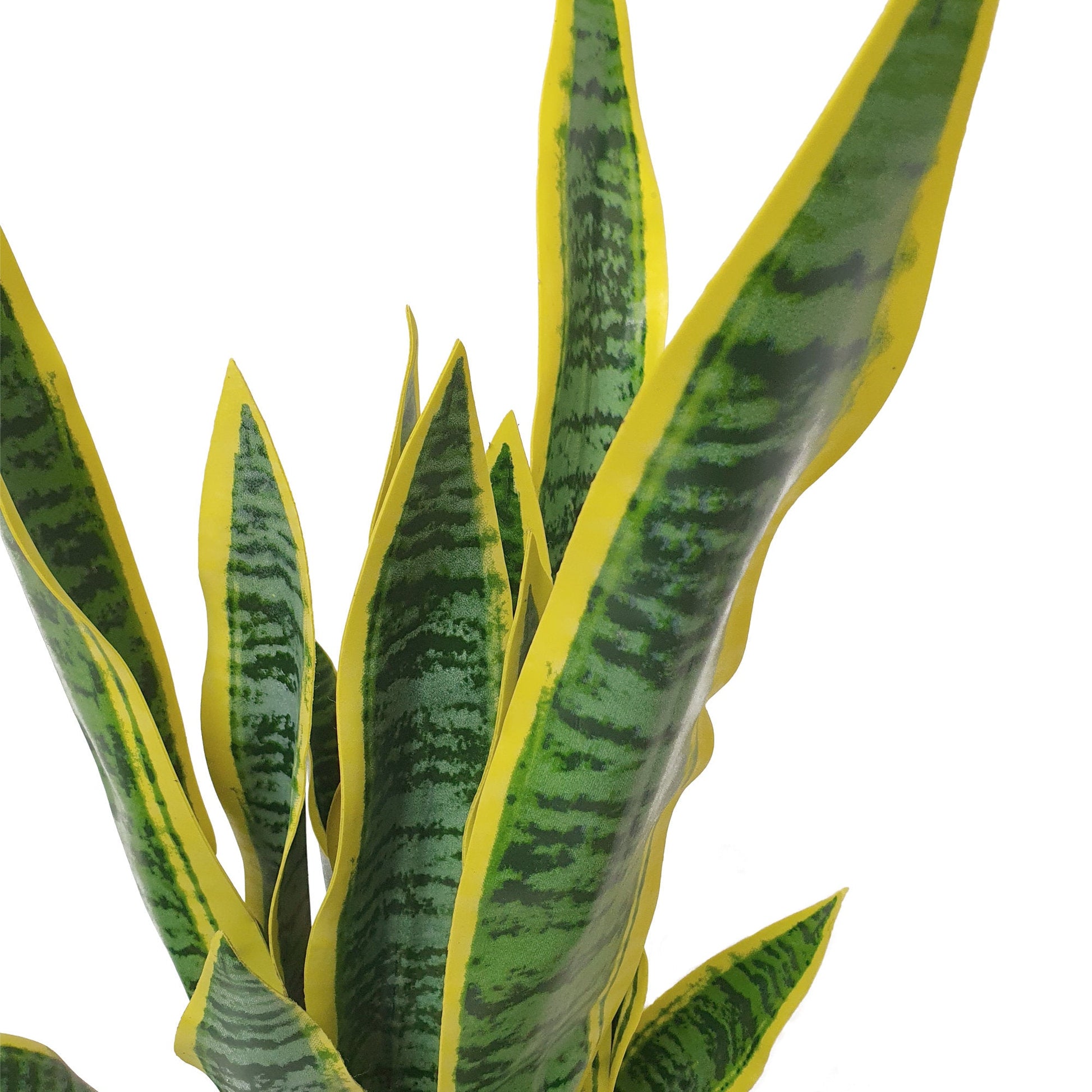 Artificial Dracaena Trifasciata Snake Plant 65cm