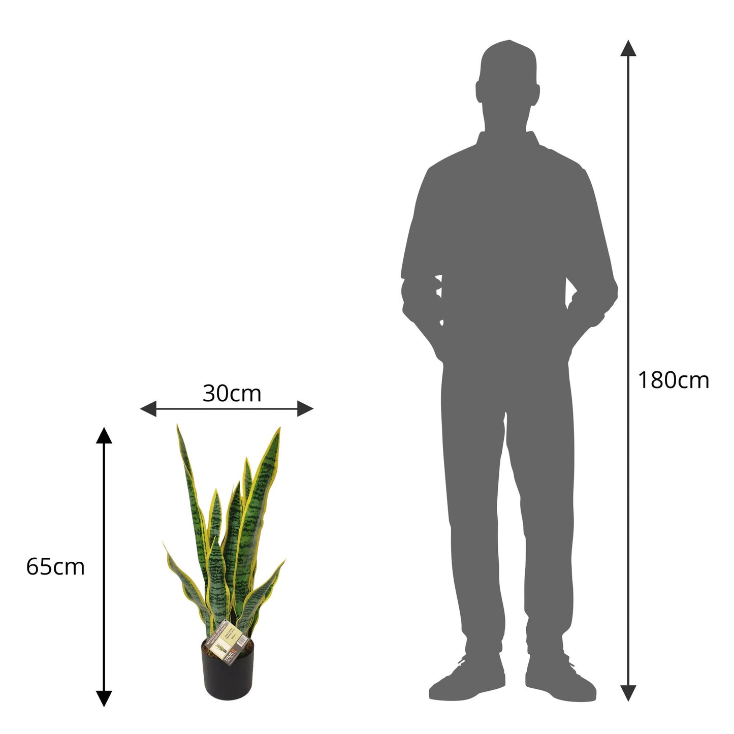 Artificial Dracaena Trifasciata Snake Plant 65cm