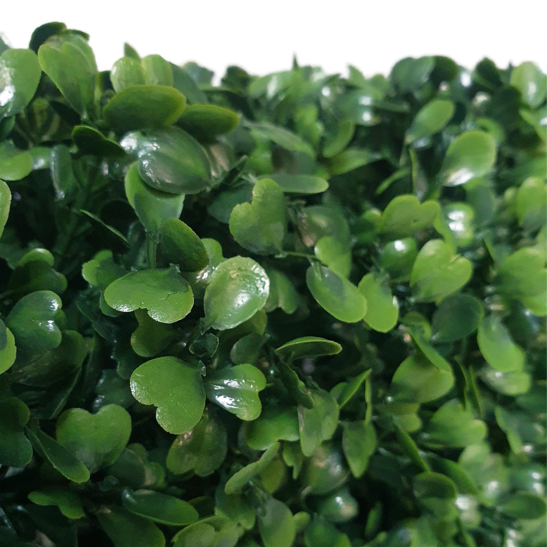Premium Freestanding Artificial Boxwood Hedge - Medium