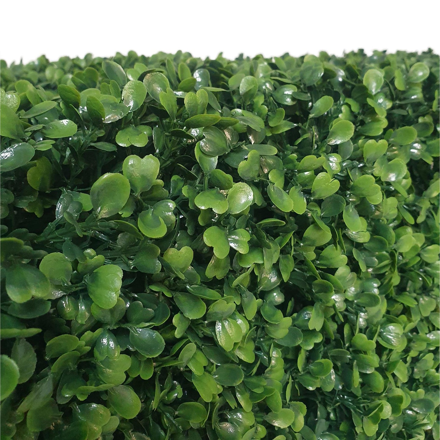 Premium Freestanding Artificial Boxwood Hedge - Medium