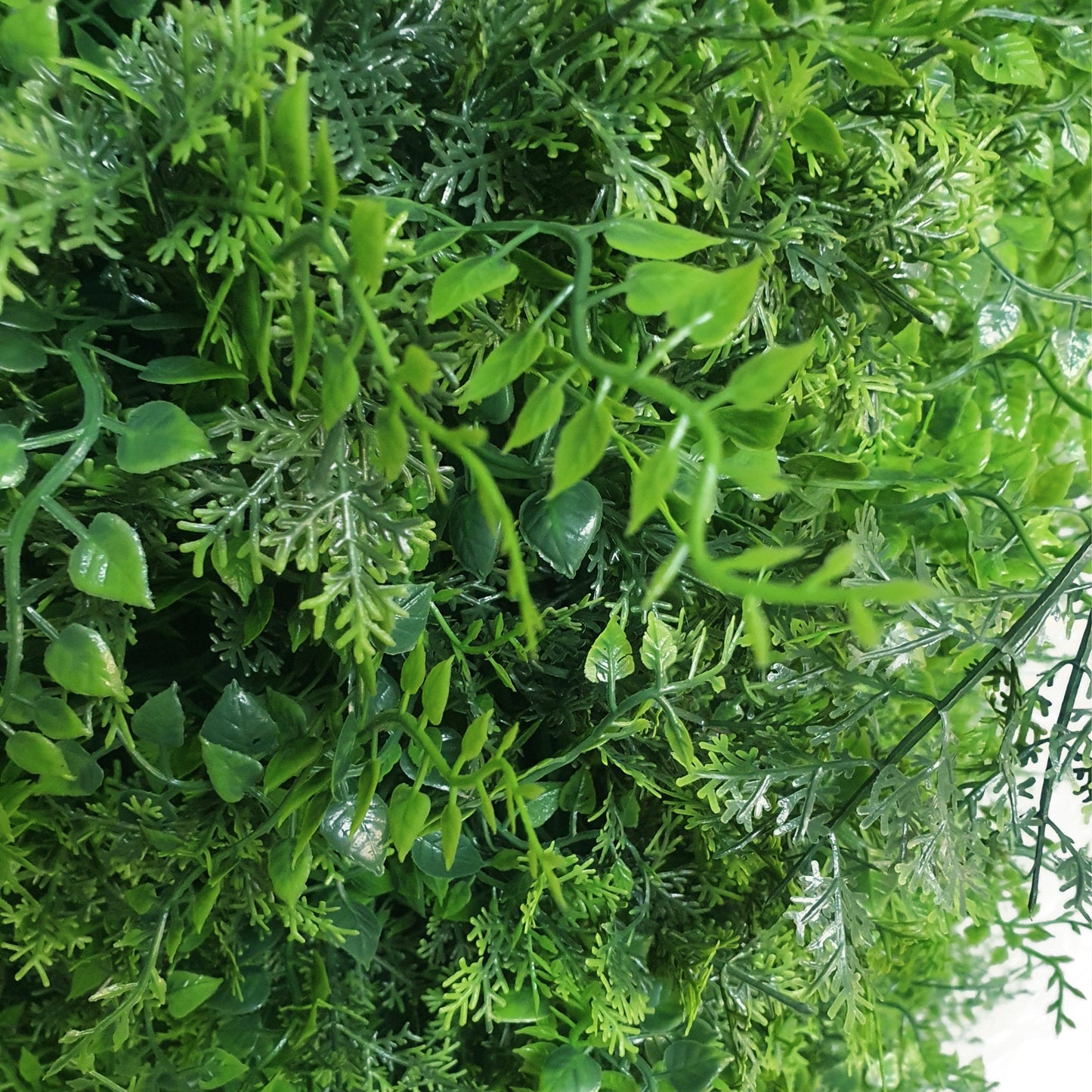 Premium Freestanding Artificial Fern Hedge