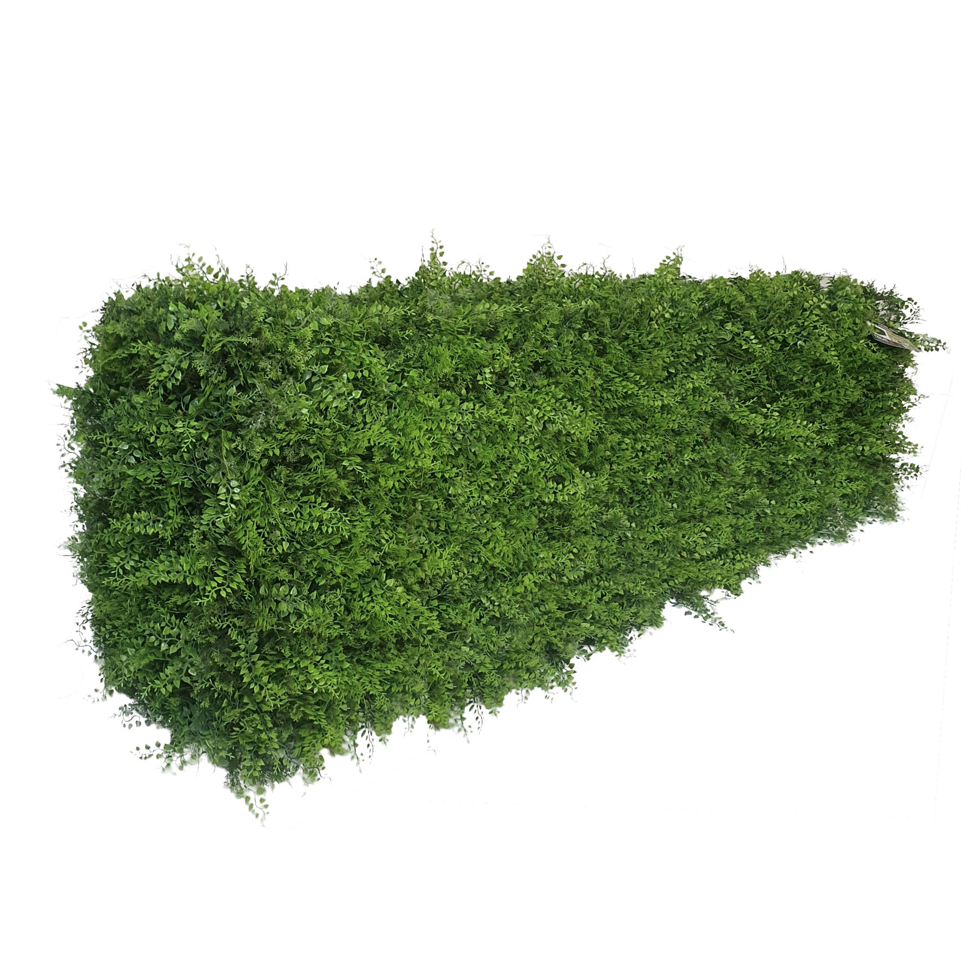 Premium Freestanding Artificial Fern Hedge - Short
