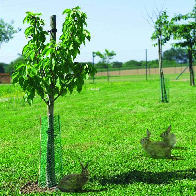 Expanding Tree Guard Protector - 5 or 100 pk