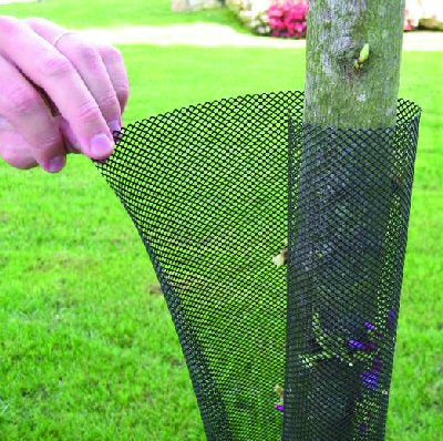 Expanding Tree Guard Protector - 5 or 100 pk